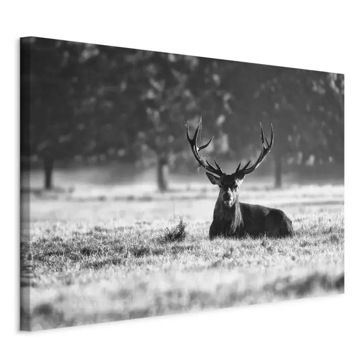 JOSUE animal Cerf Impression Sur Toile Photo Peinture,Cerf de forêt coucher de soleil abstrait Orange, blanc Peinture Art Moderne Artistique Salon Decoration Murale-70x100cm Encadrée