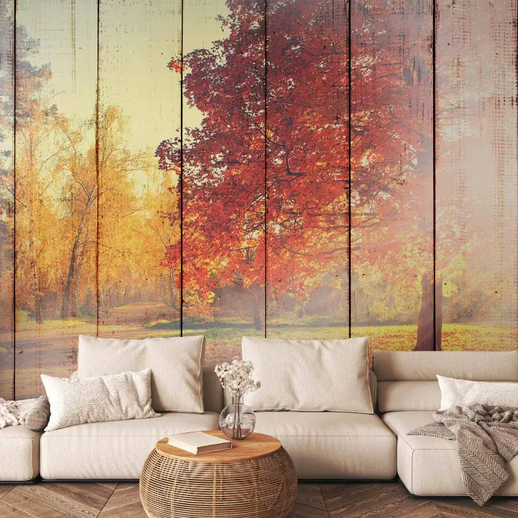 Soleil d’automne - arbres aux feuilles colorées sur fond de planches de bois