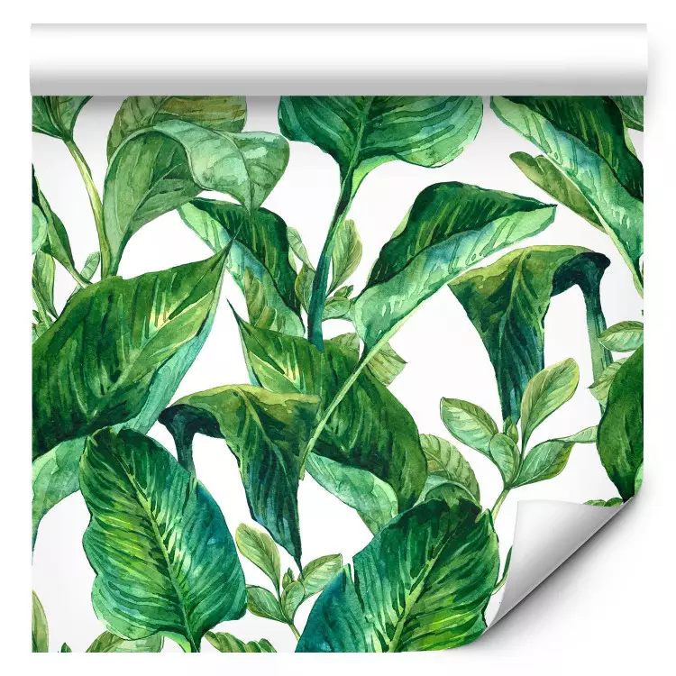 Paradis tropical