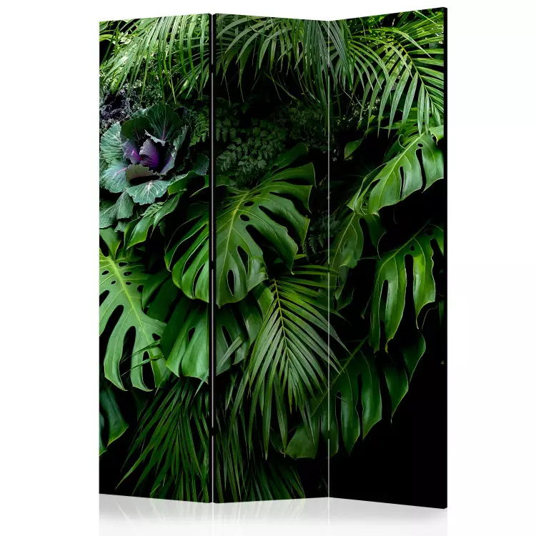 Forêts tropicales - paysage de feuilles tropicales sur fond de jungle