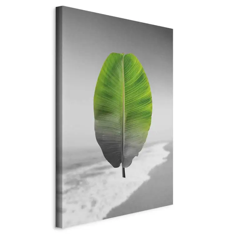 Feuille de bananier vertical