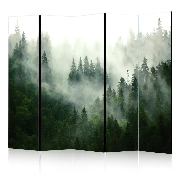 Forêt de conifères II - paysage forestier de sapins dans la brume