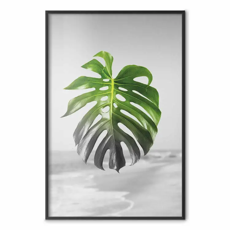 Feuille de Monstera - plante tropicale, paysage côtier gris