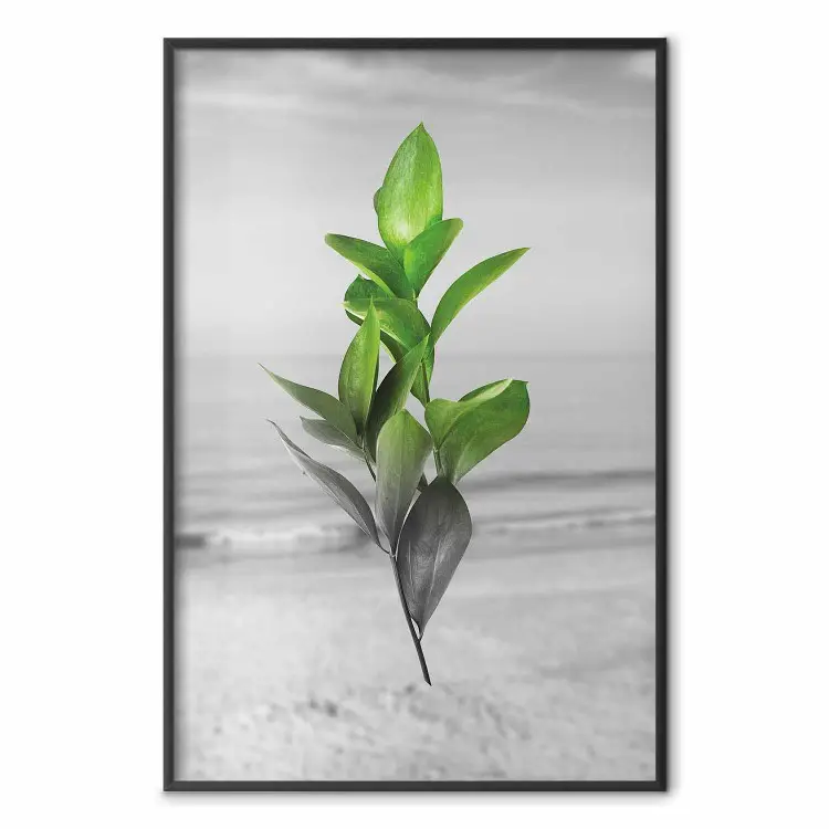 Branches vertes - feuilles vives sur paysage marin gris