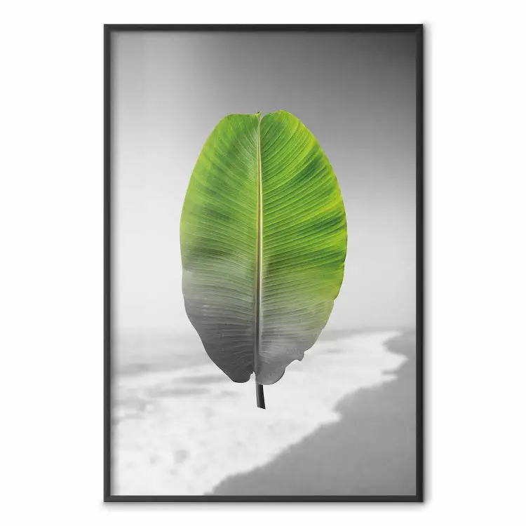 Feuille de bananier - plante tropicale sur paysage gris
