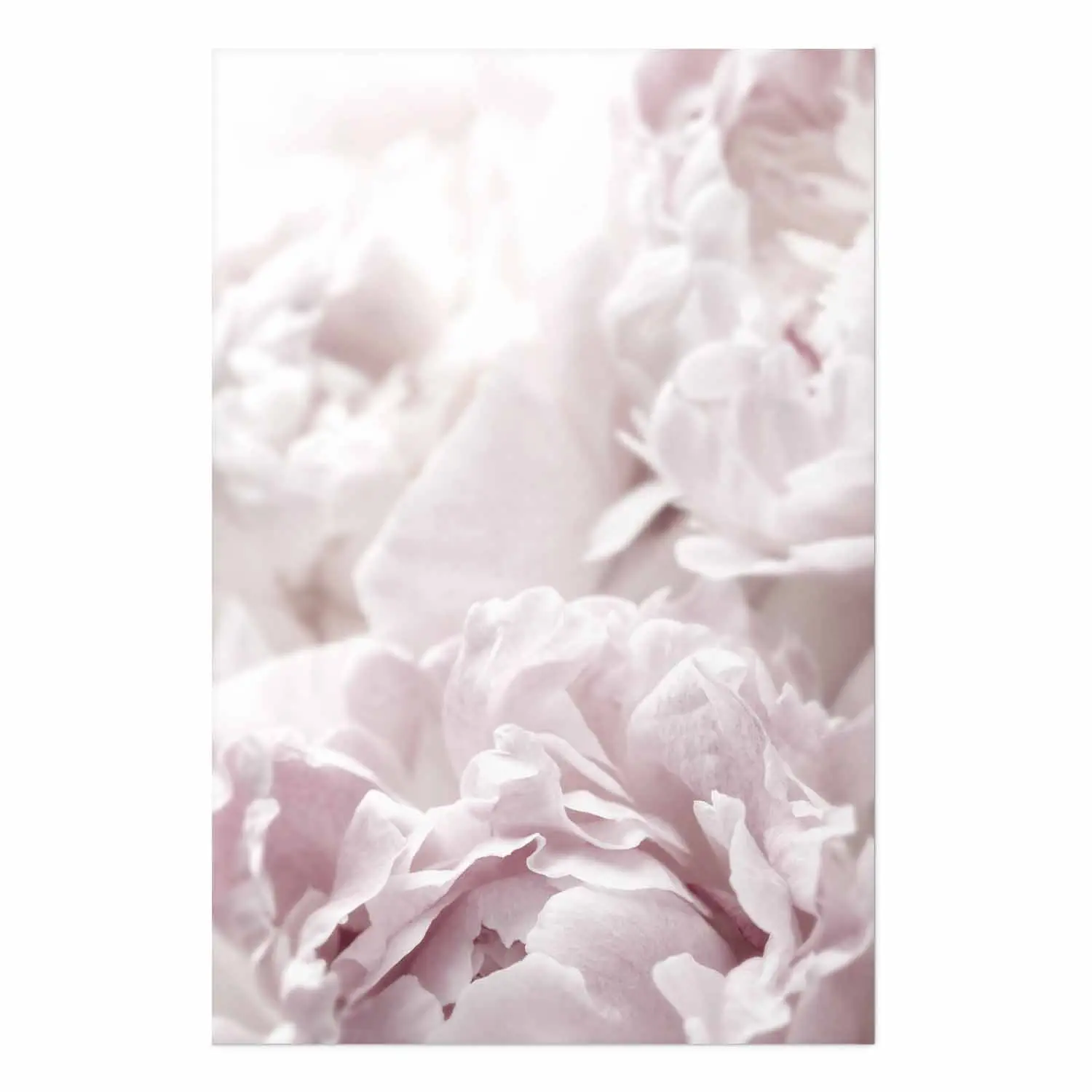 Décoration affiche murale Théière de roses et papillon Soulayrol 30 cm
