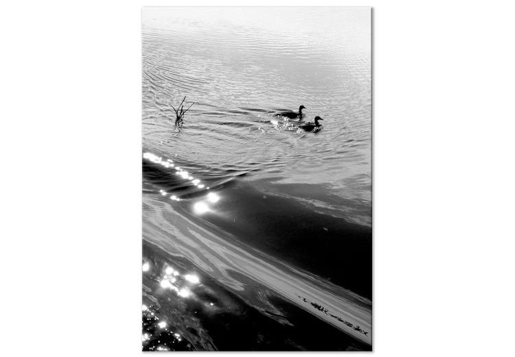 Tableau sur toile Amitié du canard - deux oiseaux dans l'eau, une photo en noir et blanc