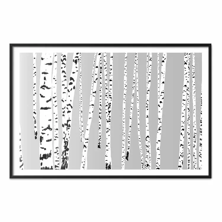 Bouleaux - composition noir et blanc d'arbres sur fond gris
