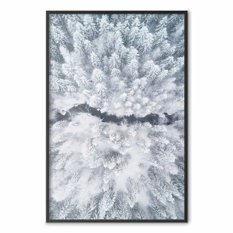 Couronnes d'arbres - paysage hivernal d'arbres enneigés vu d'en haut