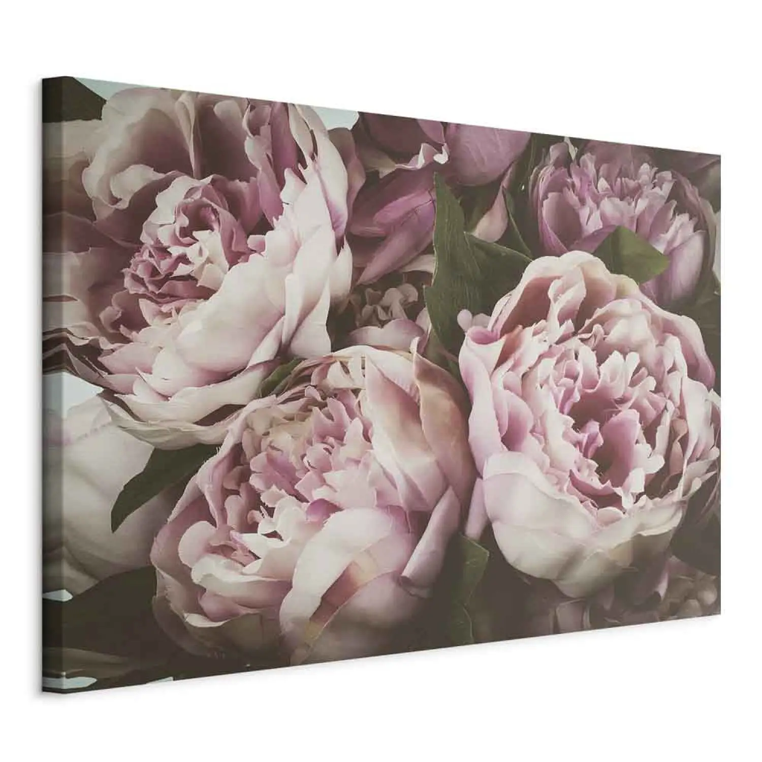 Tableau Toile Impression 50x70cm, Fleurs Pivoines Classicisme, ARTTOR PA50x70-5975