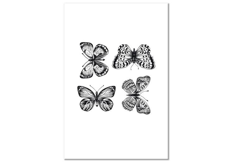 Tableau sur toile Famille de papillons - un dessin au trait avec quatre papillons