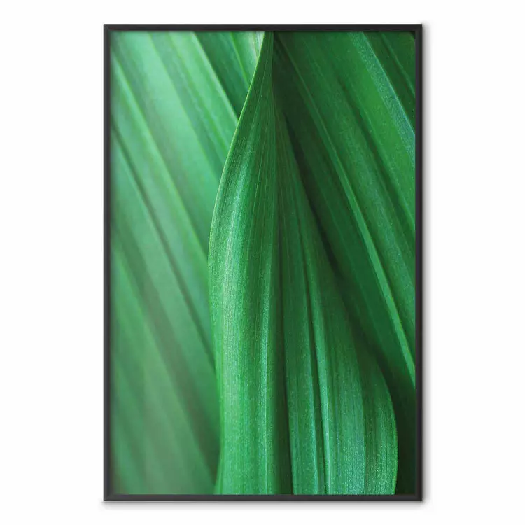 Texture de feuille - composition avec motif végétal en vert