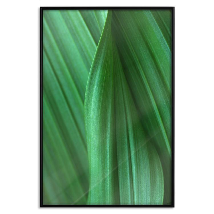 Leaf Texture [Poster]