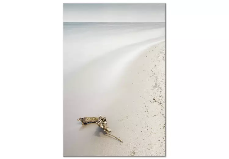 Côte scandinave - mer calme et sable fin sur la plage