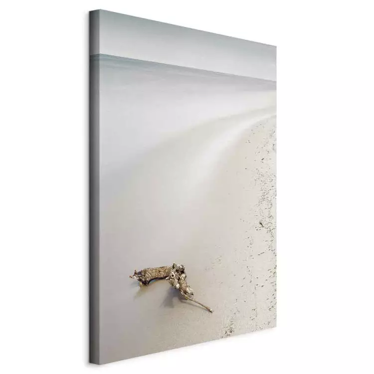 Côte scandinave - mer calme et sable fin sur la plage