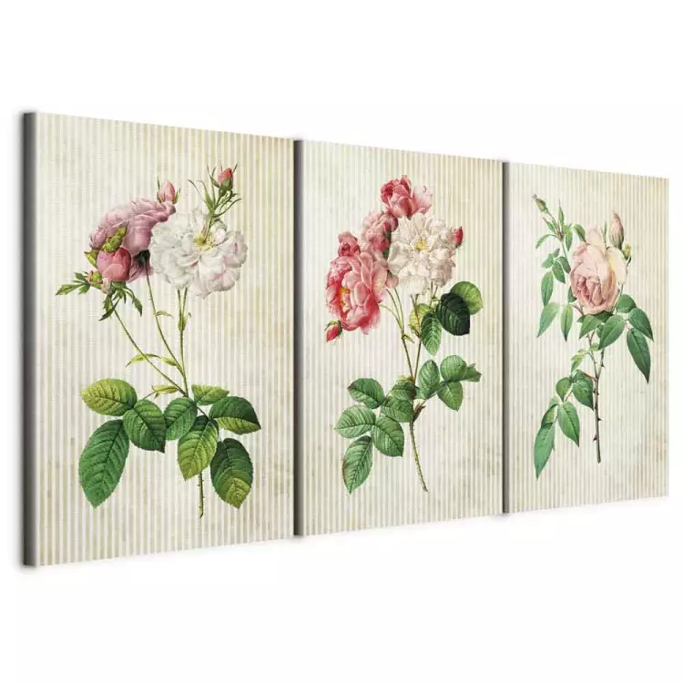 Trio floral (collection)