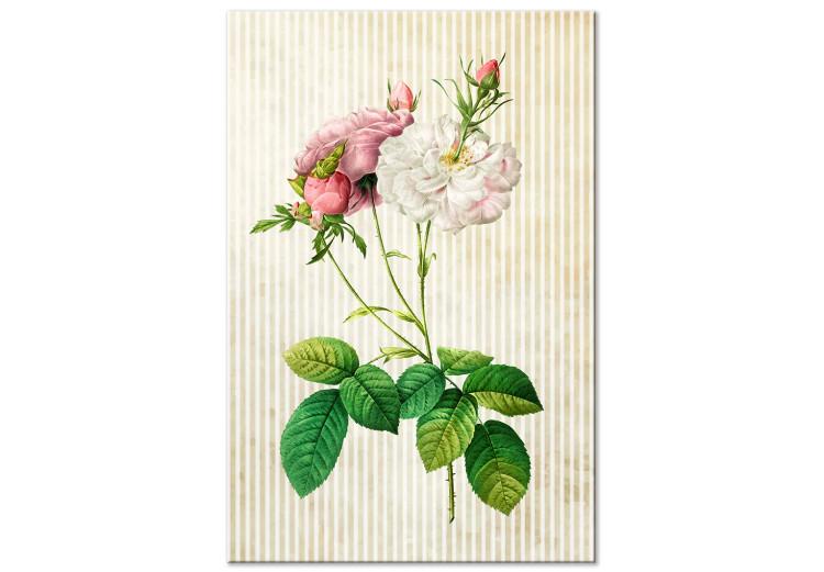 Tableau sur toile Nature esprit vintage (1 partie) - fleurs sur fond de rayures brunes
