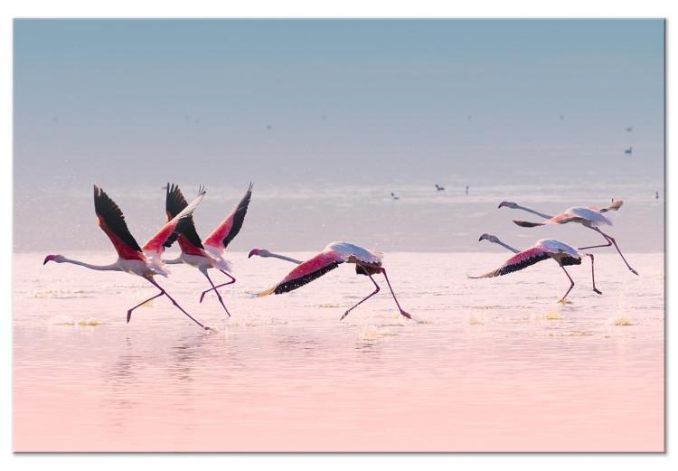 Tableau sur toile Oiseaux au décollage (1 partie) - flamants roses sur fond d'eau