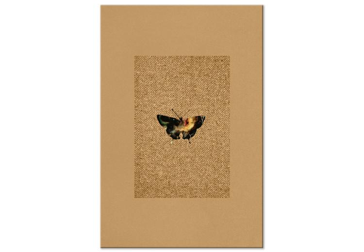Tableau sur toile Collection entomologique - un papillon en noir et jaune sur un fond marron texturé