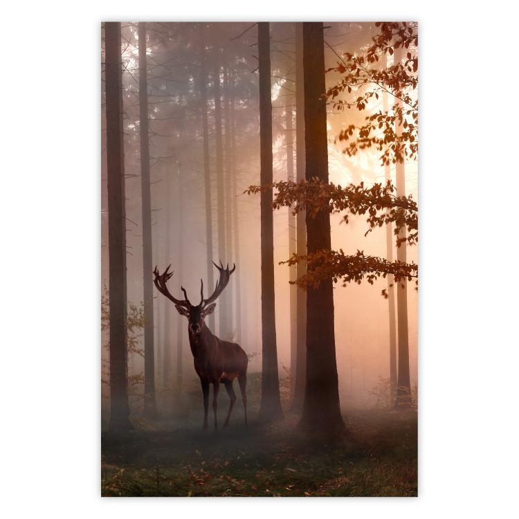 Poster paysage, poster nature, poster mural nature, affiche nature
