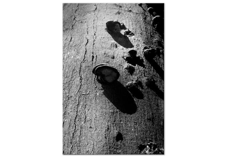 Tableau sur toile Equilibre forestière - une photo artistique en noir & blanc avec arbre
