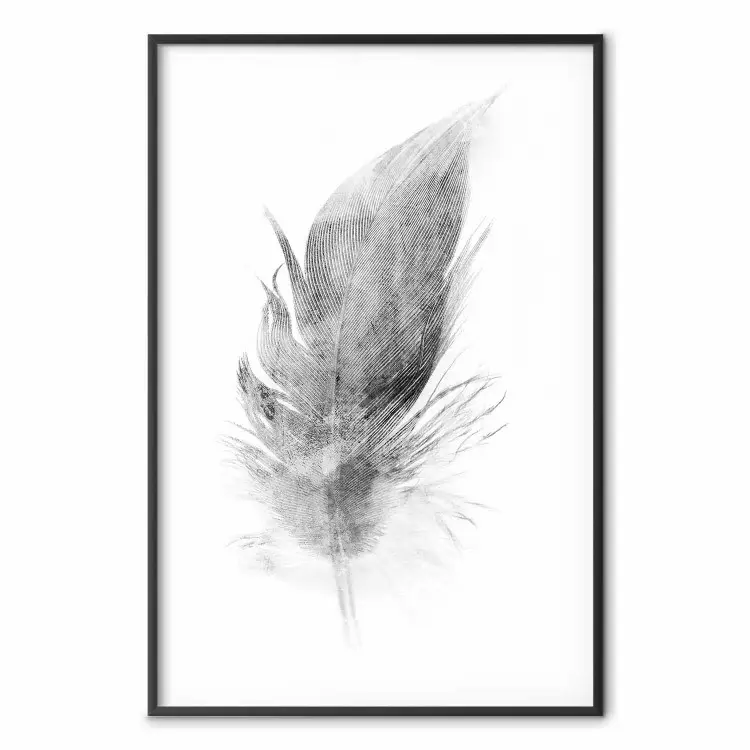 Éphémérité - croquis noir plume d'oiseau