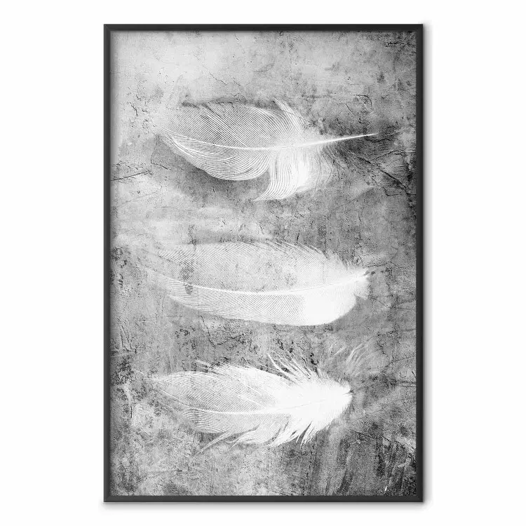 Secret éphémère - trois plumes sur béton noir et blanc
