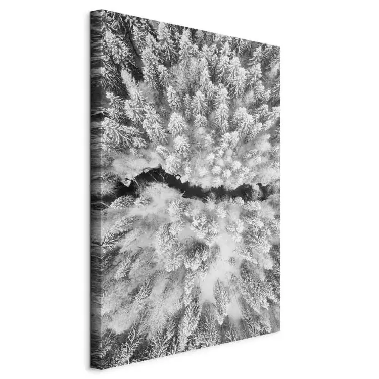Forêt d'hiver à vol d'oiseau - un paysage hivernal en noir et blanc