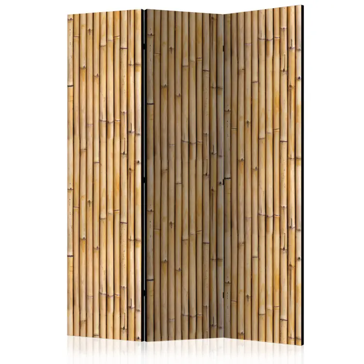 Mur amazonien - motif brun avec motif