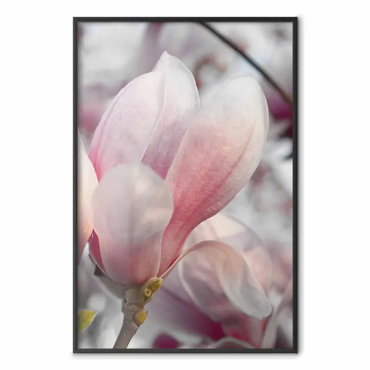 Prémices du Printemps - plante printanière avec fleur