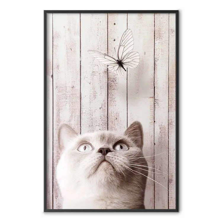 La nature du chat