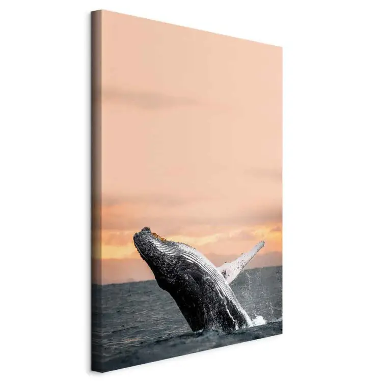 Baleine - une baleine devant le soleil couchant