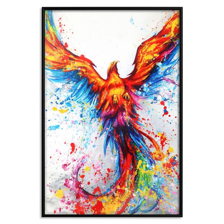 Poster Phoenix [Poster]