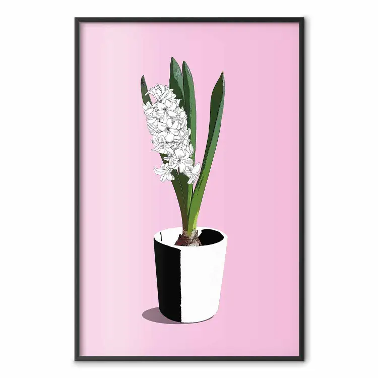 Délicatesse Florale - plante en pot sur fond rose pastel