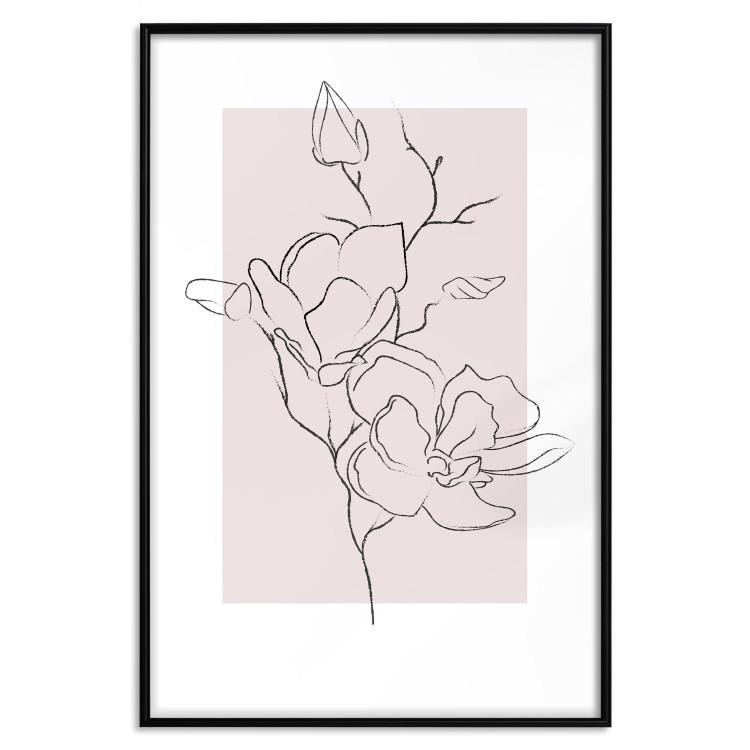 Creamy Magnolia [Poster]