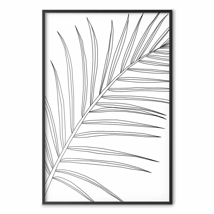 Feuille Palmier - linéaire feuille sur blanc