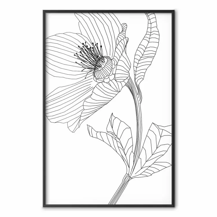 Esquisse Printanière - plante en linéaire sur blanc