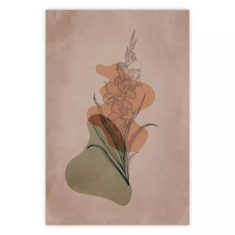 Gladiolus - Abstraction Bohème