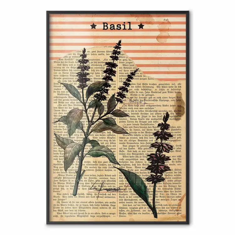 Poésie Basilic - Vintage Plantes