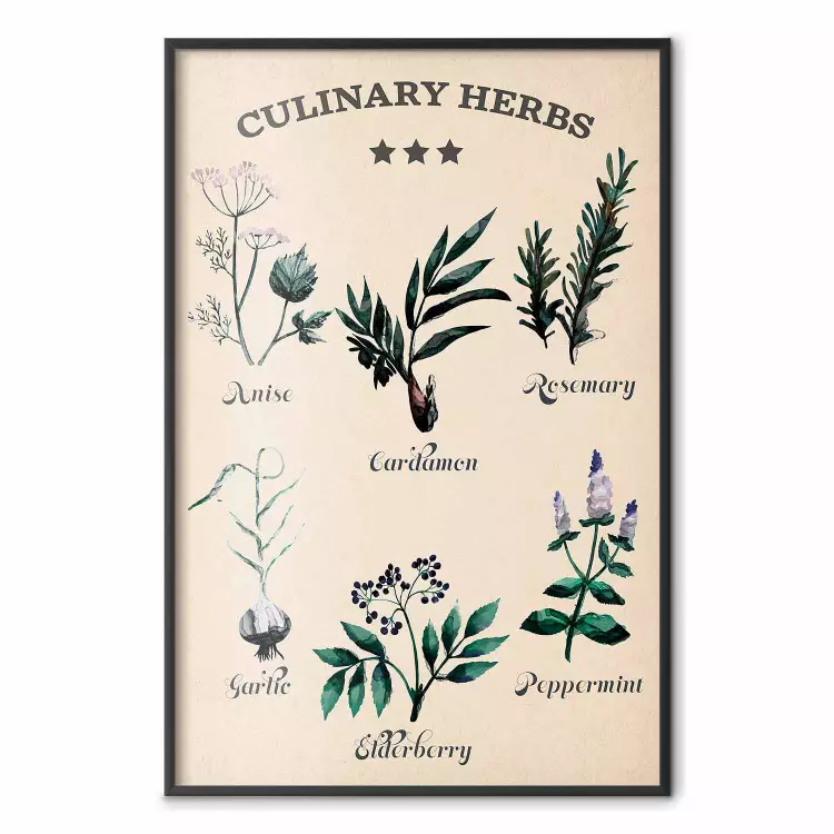 Herbes de cuisine