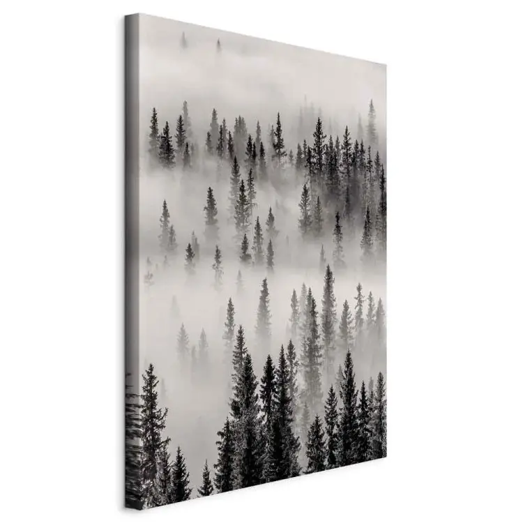 Matrice vertical - sombre forêt brumeuse