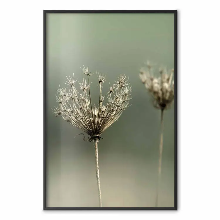 Nostalgie de l'été passé - plante estivale sur fond vert flou