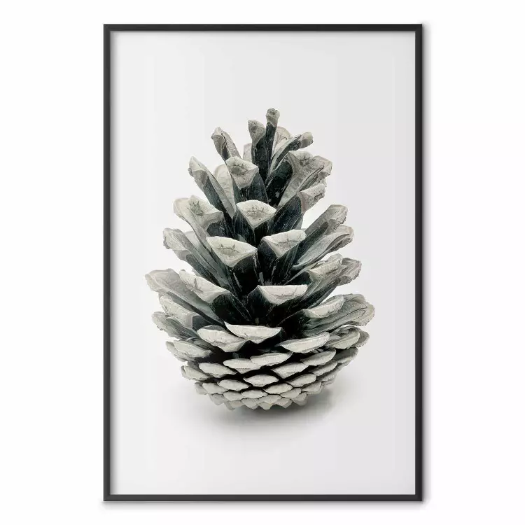 Nature ouverte - composition de cône de pin sur fond gris uni