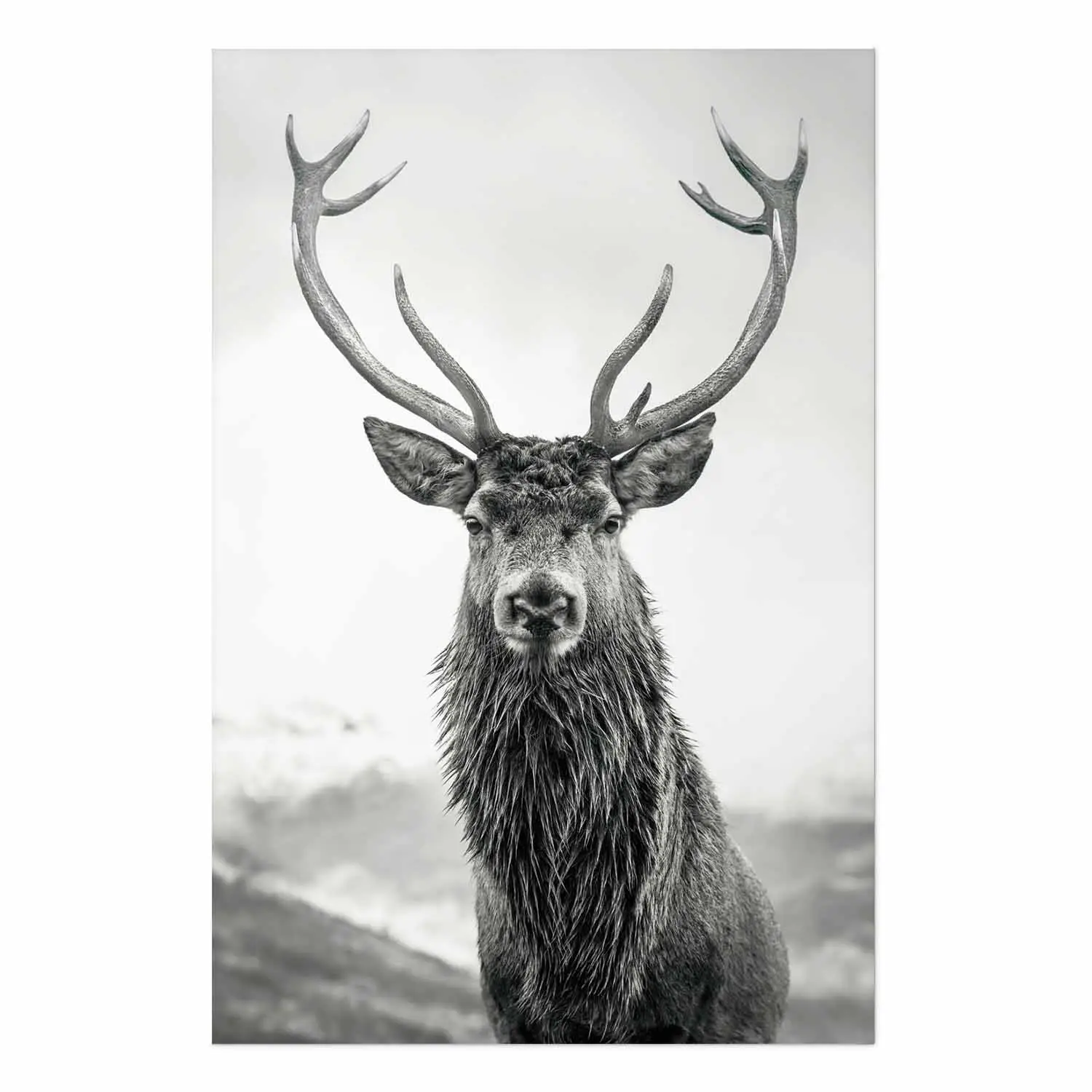 Tableau Toile Cerf Noir Et Blanc 50x70 Cm – Déco Murale Minimaliste, Sans Cadre