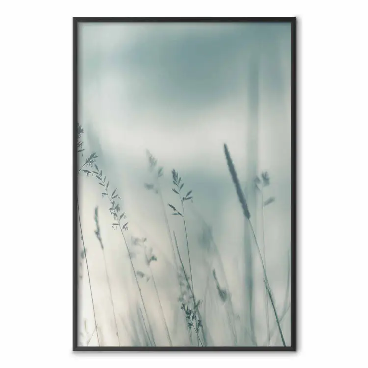 Hautes herbes - paysage de prairie aux couleurs pastel