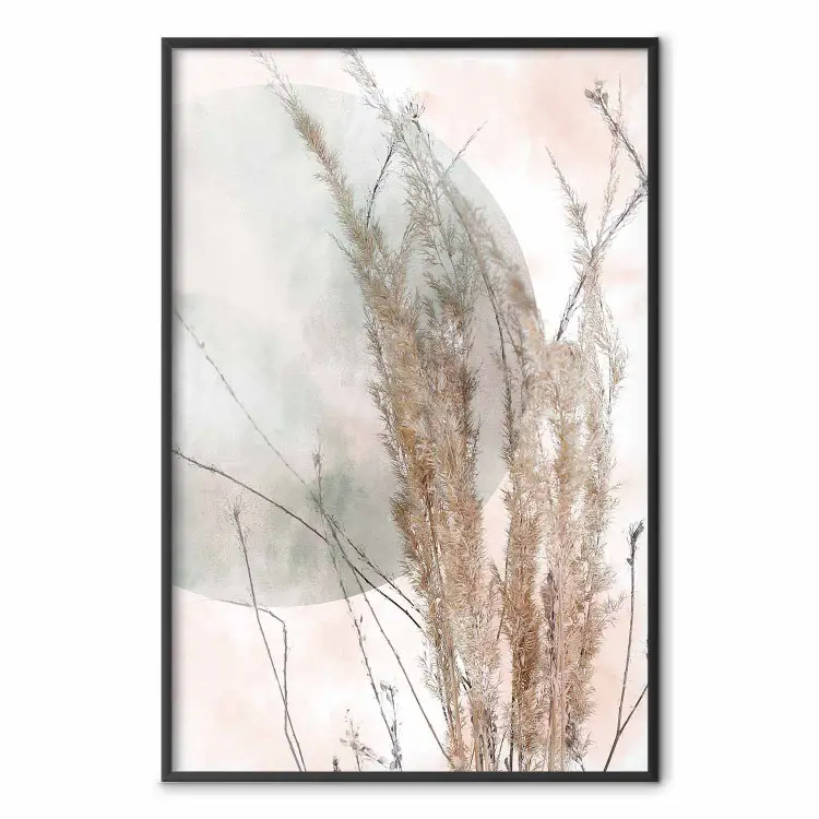 Herbes dans le vent