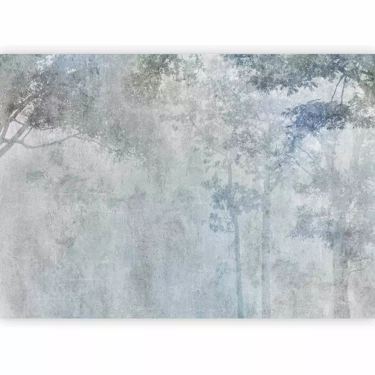 Réverbération de la forêt