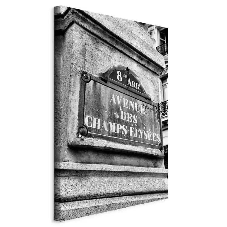 Champs-Elysées - une avenue célèbre de Paris