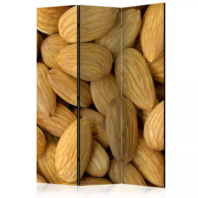 Amandes savoureuses (3 panneaux) - gros plan sur noix d'amandier brun