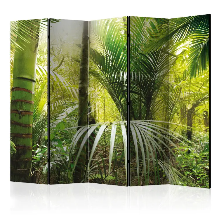 Jungle verte II - palmiers et plantes tropicales